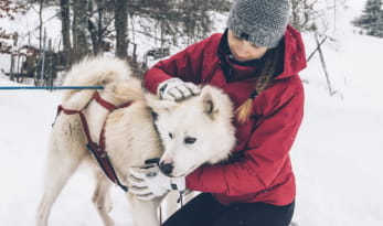 La pulka : un duo homme-chien intimiste