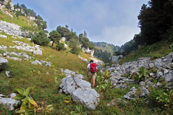 Rando sur les crètes du massif du Jura