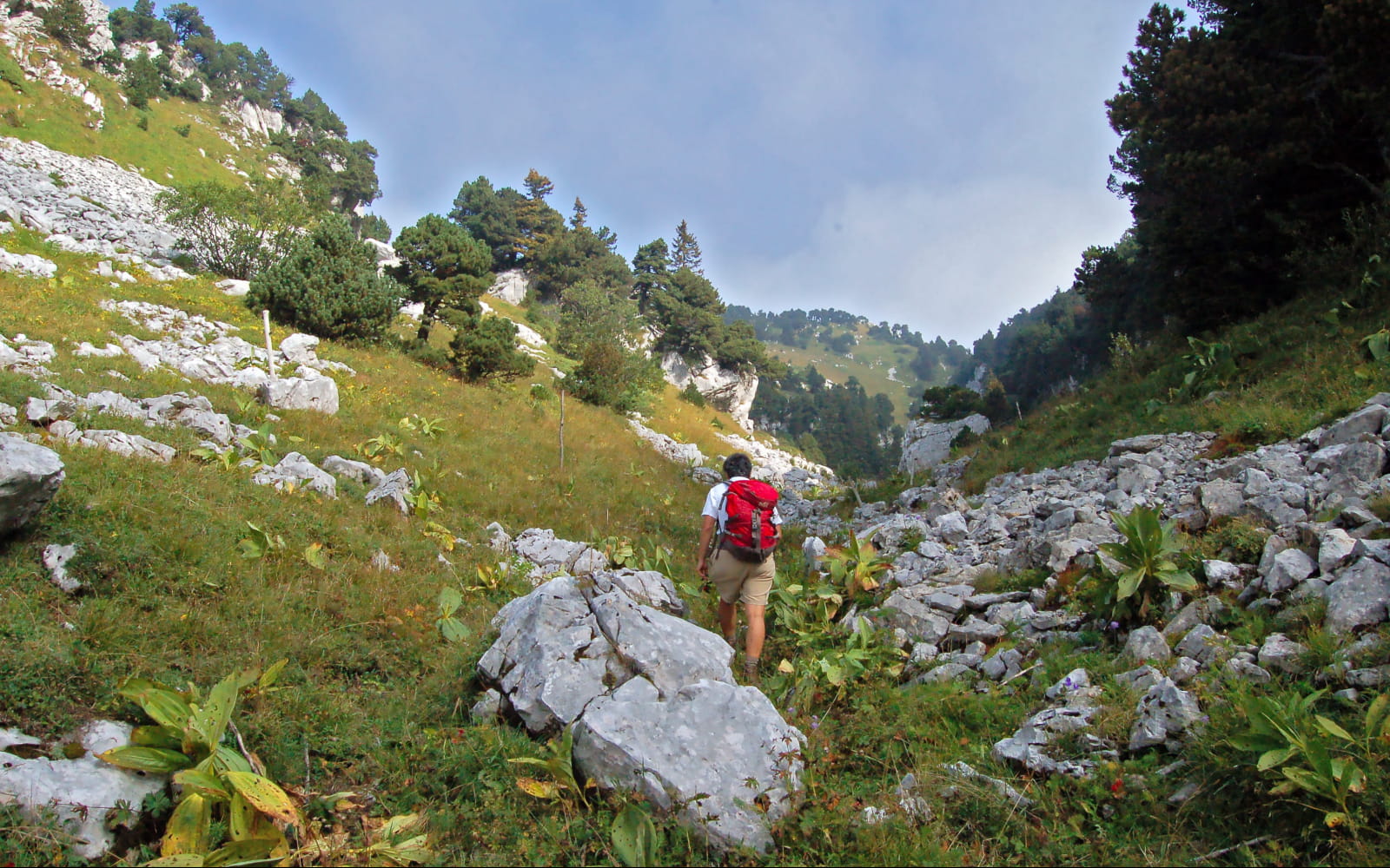 Rando sur les crètes du massif du Jura