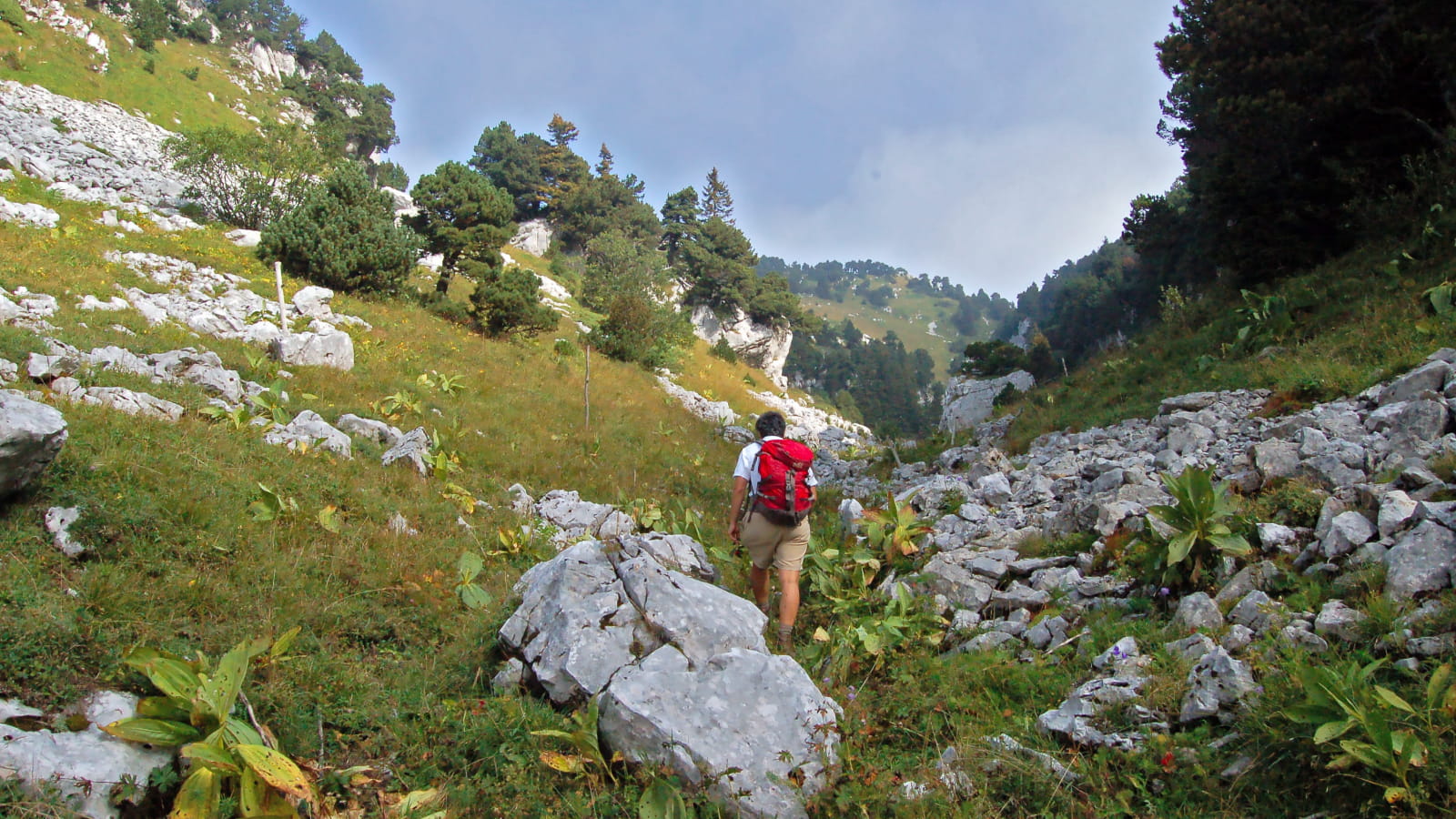 Rando sur les crètes du massif du Jura