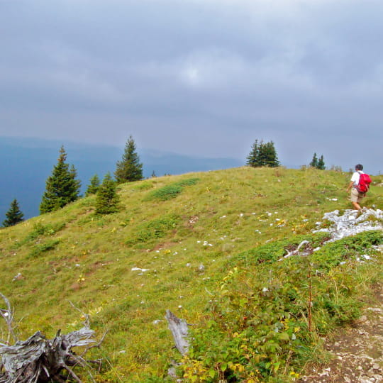 Randonnée sur les plus hauts sommets du massif du Jura