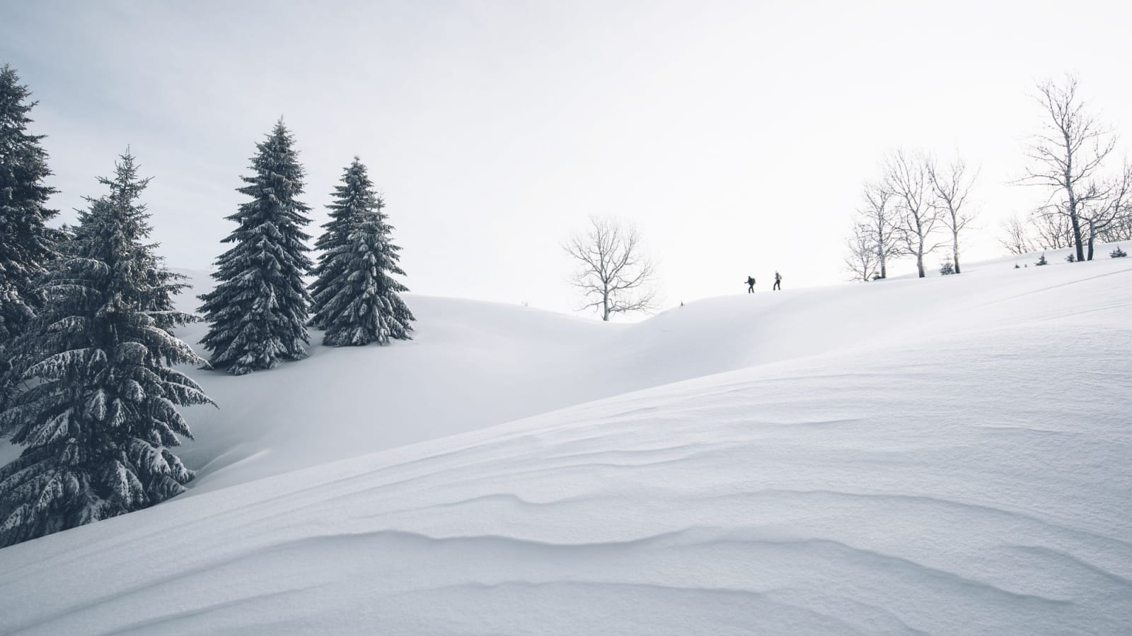 Randonnée nordique dans les Hautes Combes