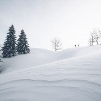 Randonnée nordique dans les Hautes Combes