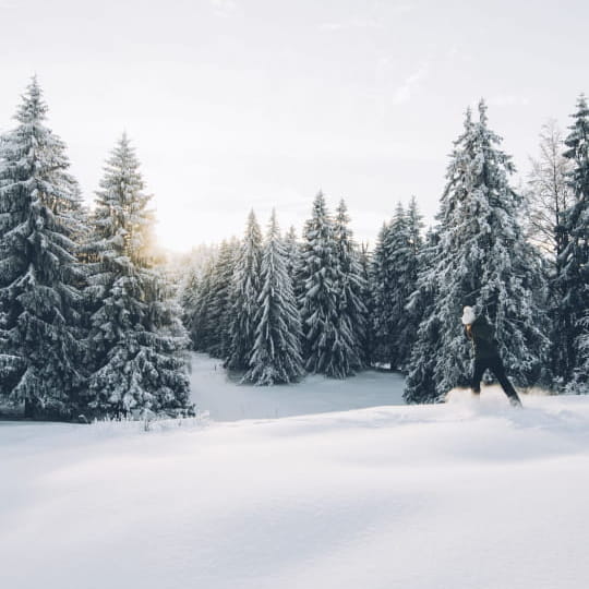 Randonnée dans la poudreuse en lisère de forêt (Hautes Combes)