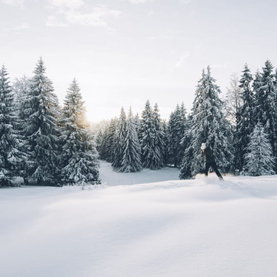 Randonnée dans la poudreuse en lisère de forêt (Hautes Combes)