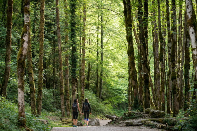 Randonnée en direction des cascades du Hérisson