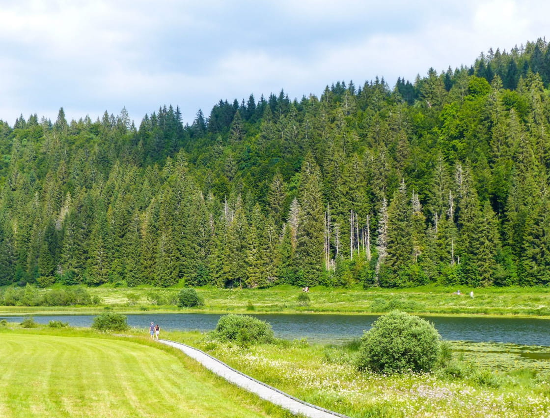 Randonnée au bord du lac de Lamoura