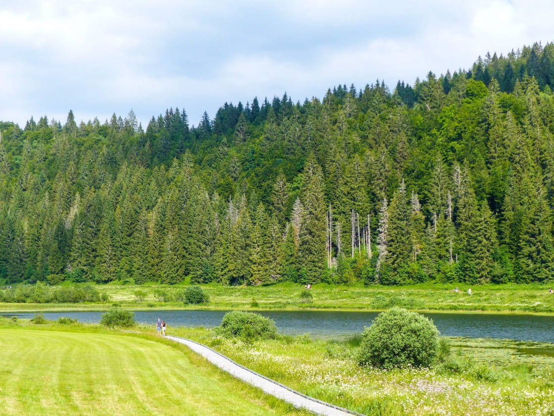 Randonnée au bord du lac de Lamoura