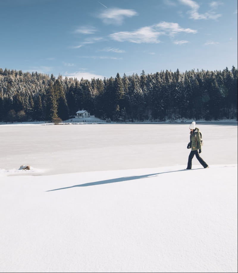 Rando raquettes au bord du lac Genin