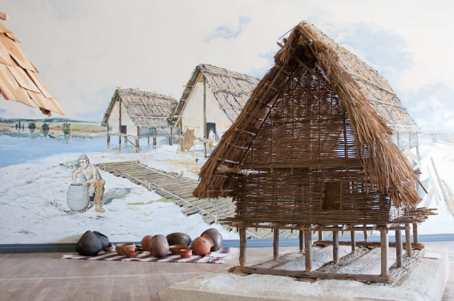 Reconstitution d'un habitat sur pilotis à l'espace archéologique de Clairvaux