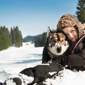 Première approche avec les chiens polaires