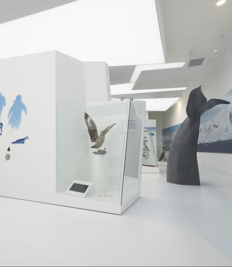 Salle d'expo de l'espace des mondes polaires