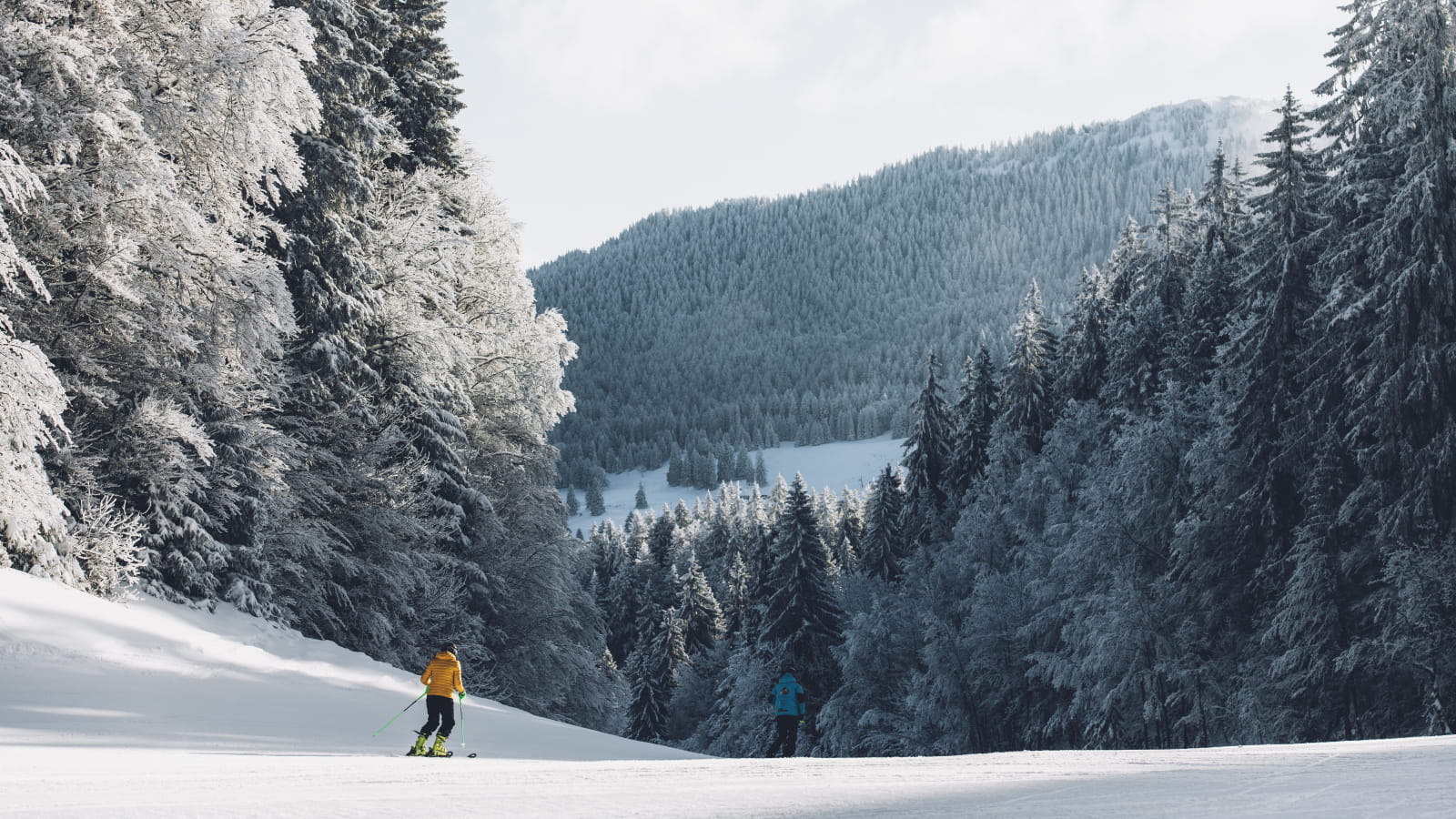 Stations de ski Métabief, Les Rousses, MontsJura Montagnes du Jura