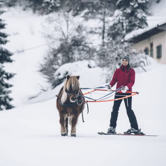 Expérience ski-joëring aux Rousses