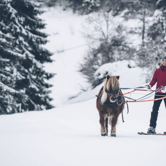 Expérience ski-joëring aux Rousses