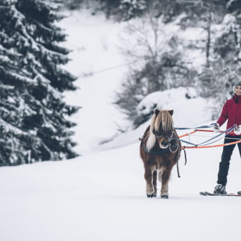 Inititation au ski joering aux Rousses