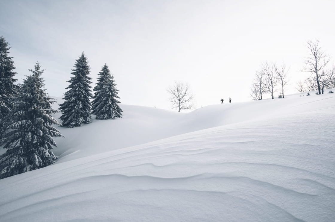 Découverte des Hautes Combes à ski de fond