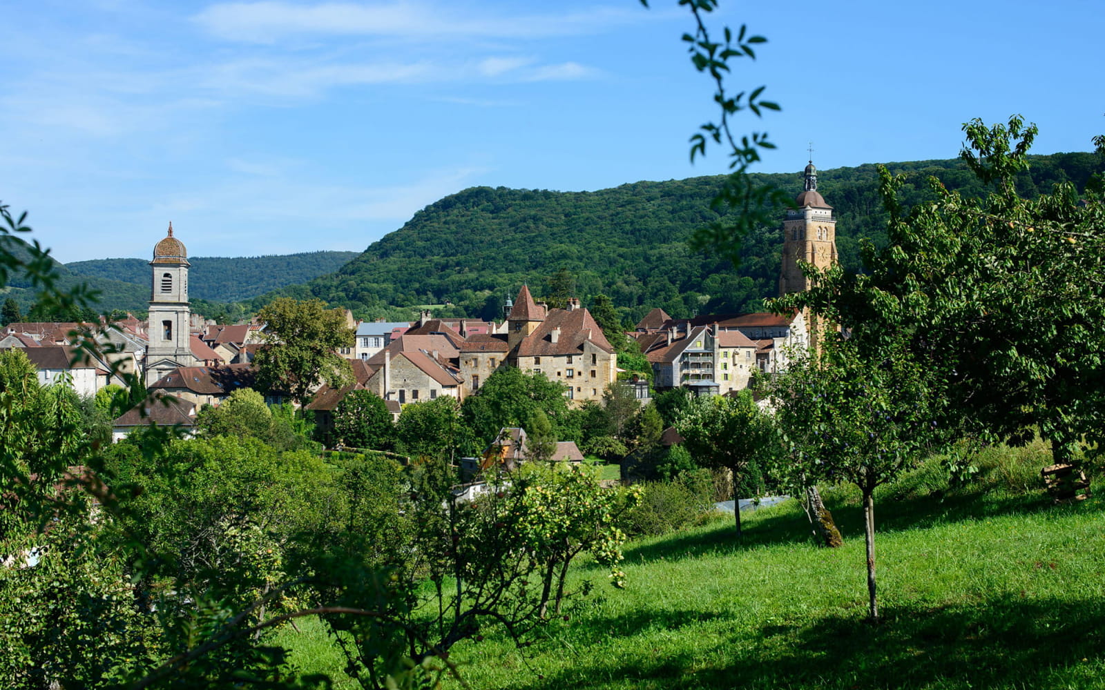 Arbois, une ville nature entourée de vignes et de forêt