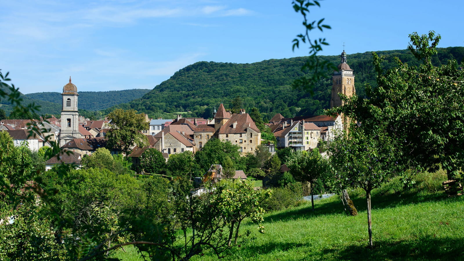 Arbois, une ville nature entourée de vignes et de forêt
