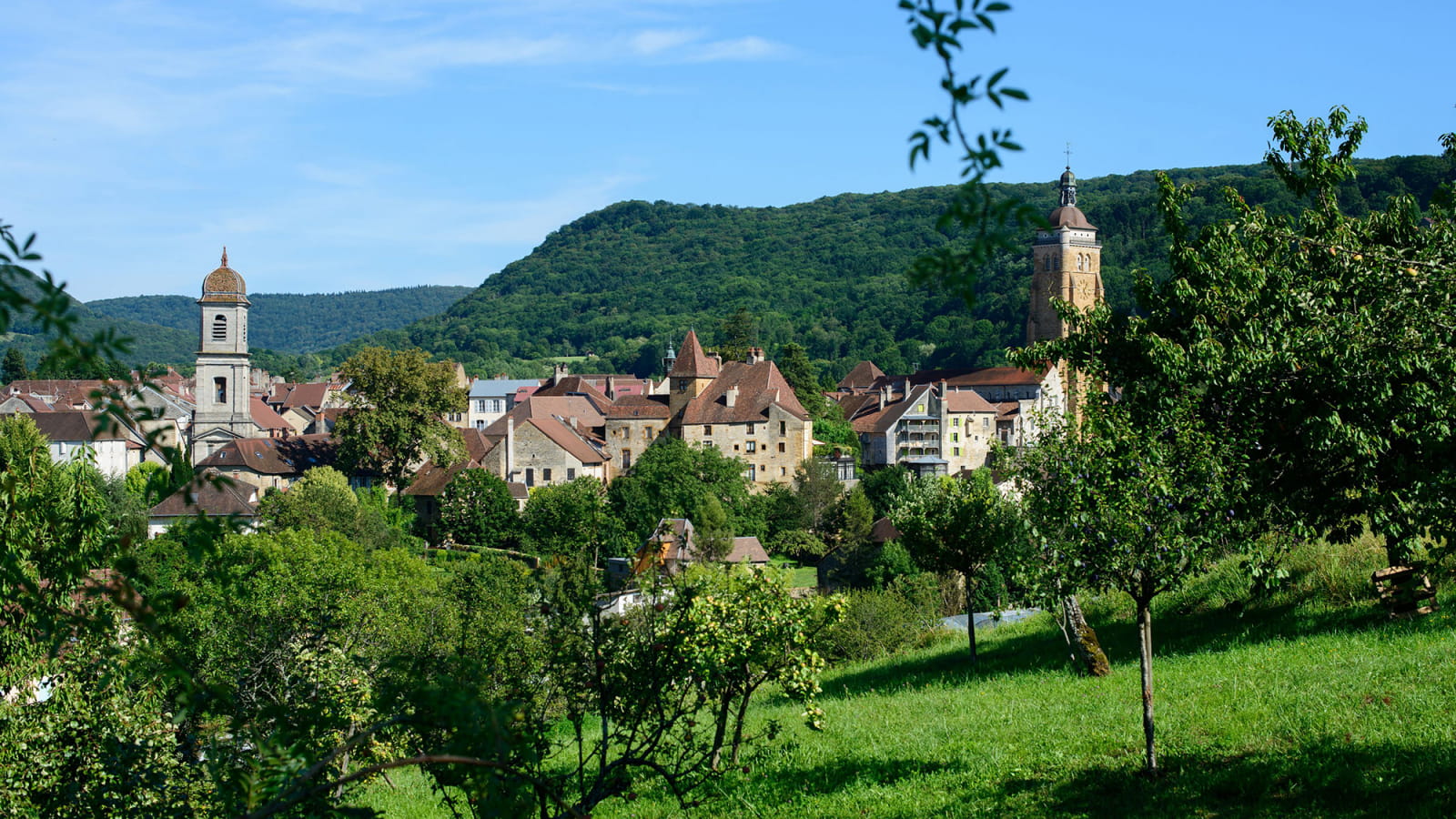 Arbois, une ville nature entourée de vignes et de forêt