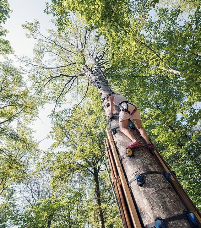 Parc aventure Funambulle