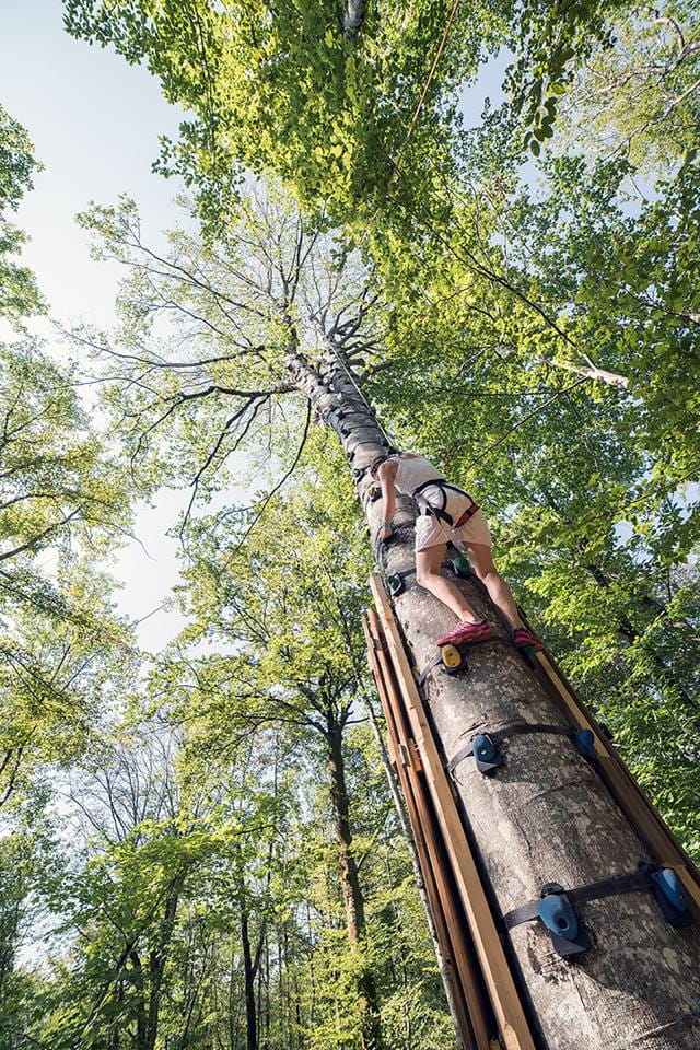 Parc aventure Funambulle