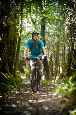 VTT_dans_les_bois_des_Montagnes_du_Jura
