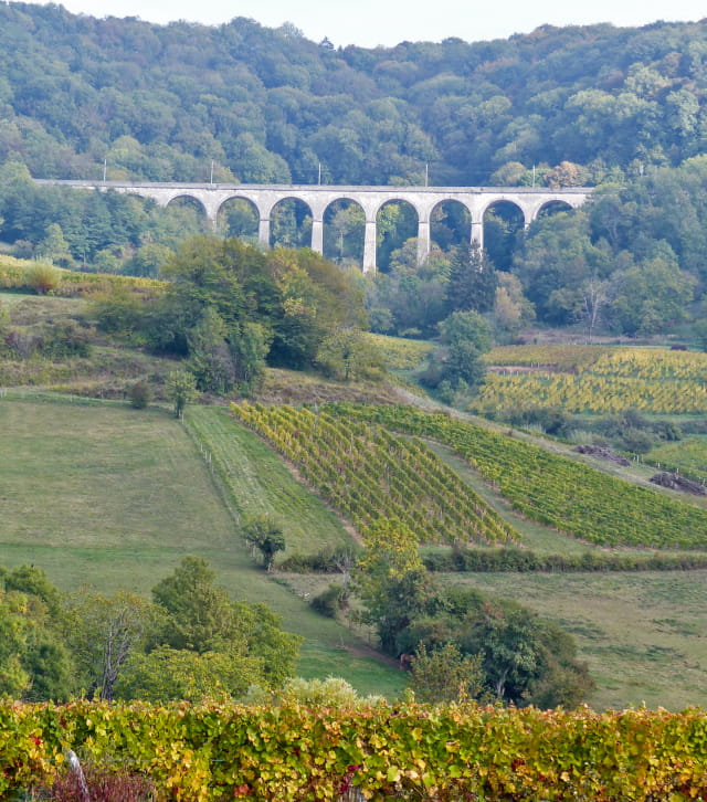 Route des vins
