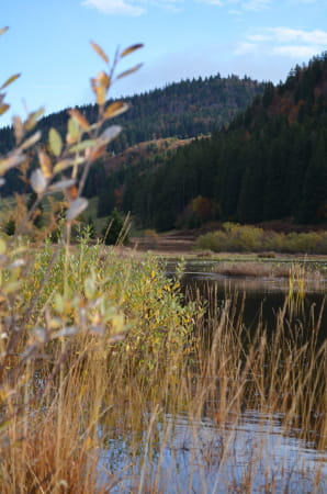 Lac de Lamoura