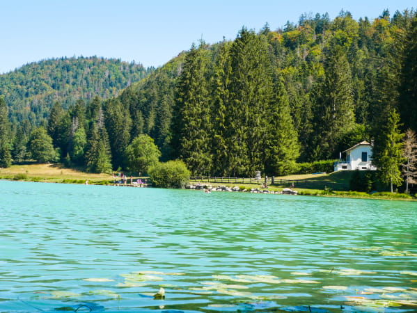 Le lac Genin en été