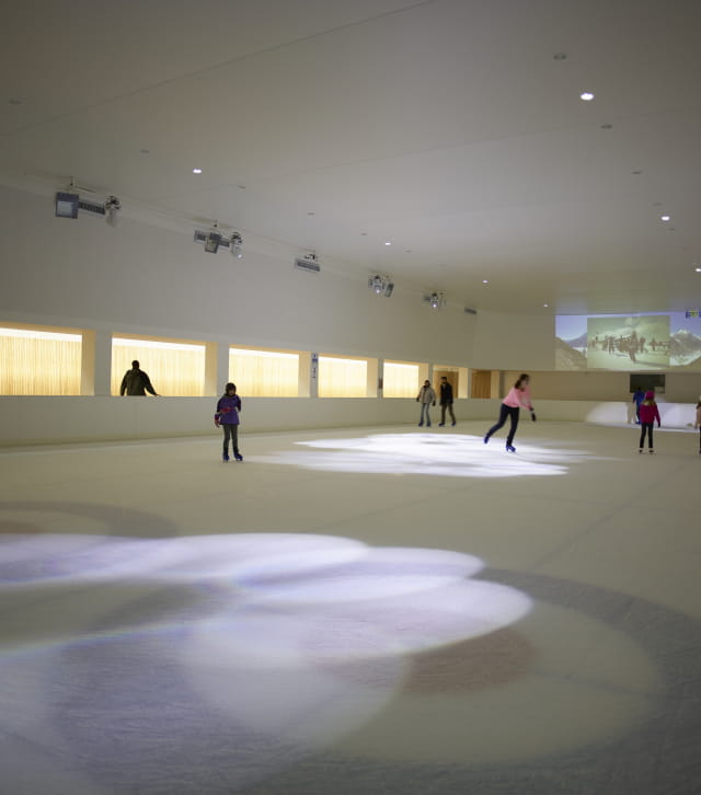 Patinoire des Mondes polaires