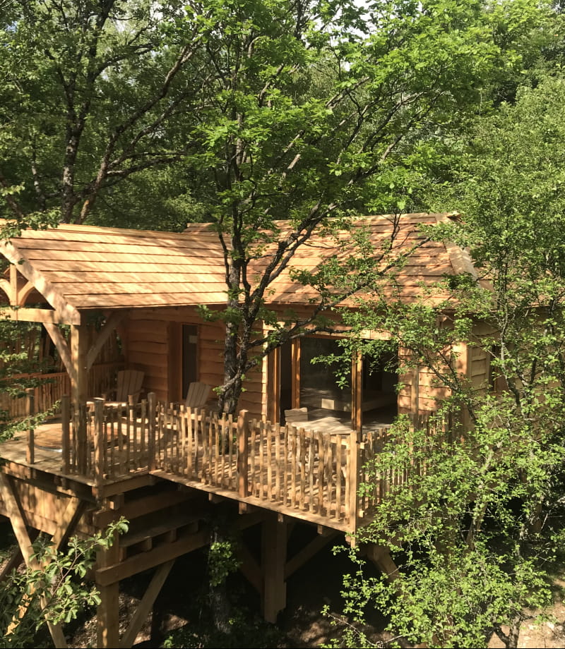 Cabane écureuil