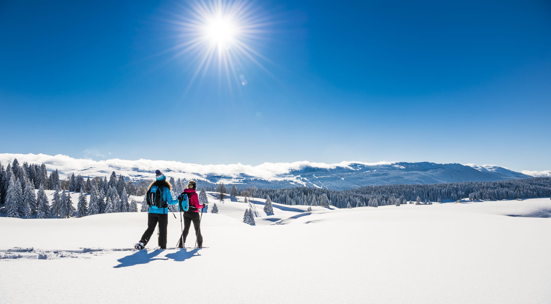 Montagnes du jura en hiver
