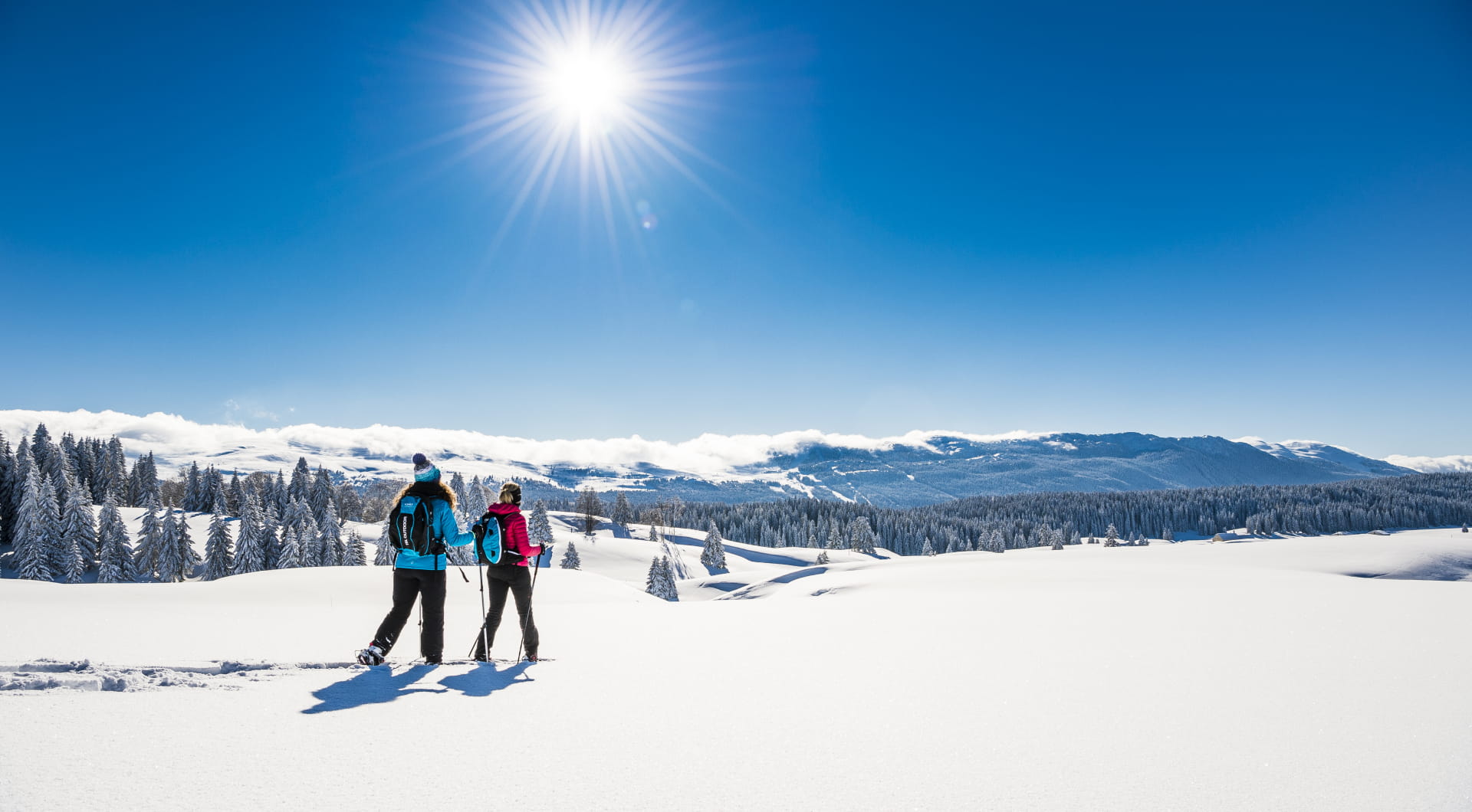 Montagnes du jura en hiver