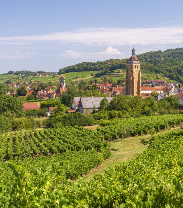 route des vins du jura