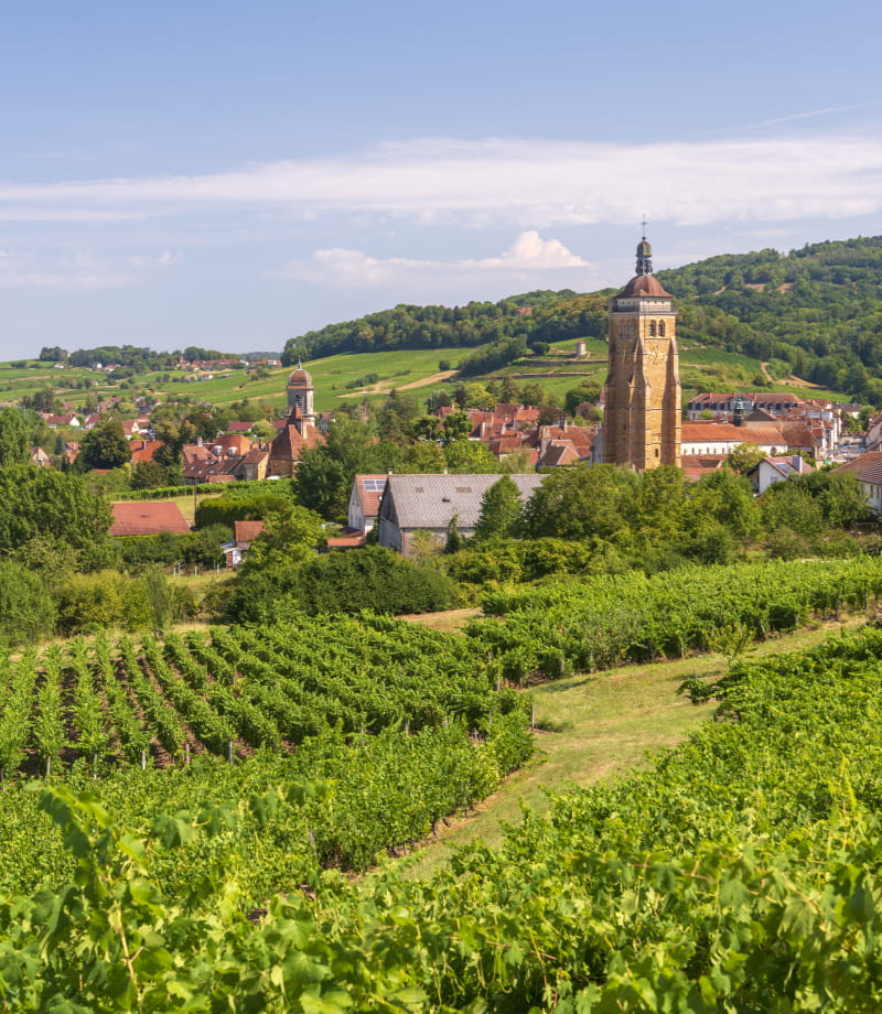 route des vins du jura