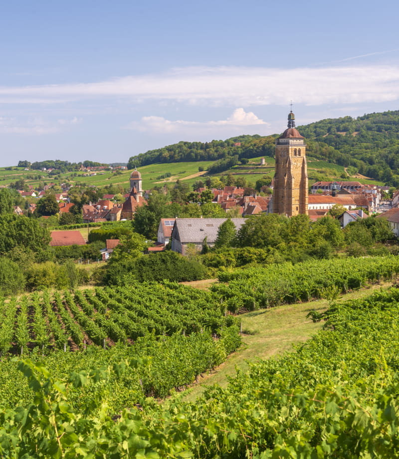 route des vins du jura