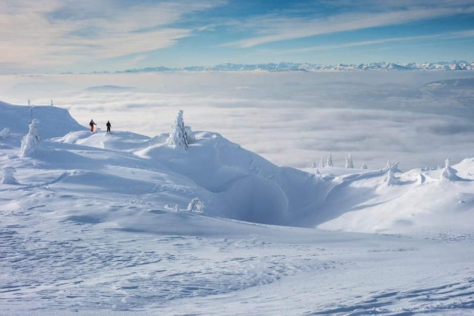 Randonnée nordique au Grand Crêt
