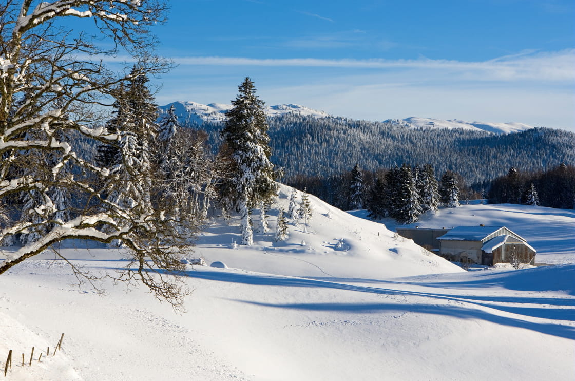 Hautes-Combes - Jura
