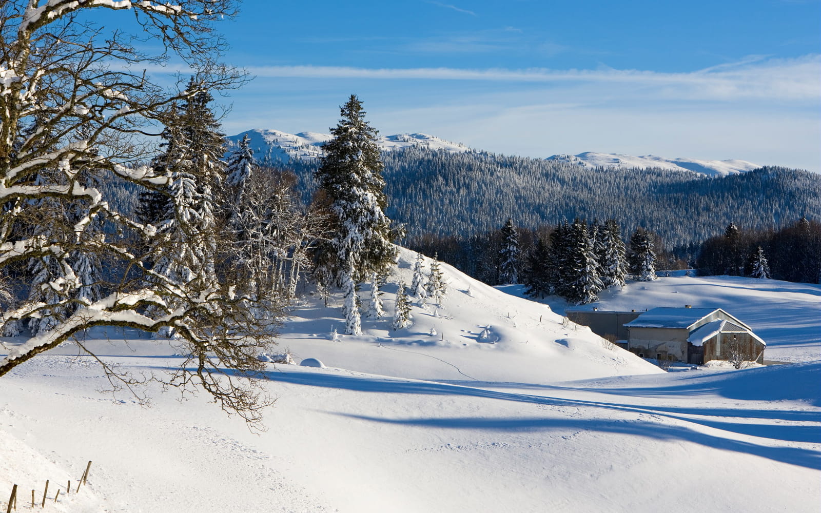 Hautes-Combes - Jura