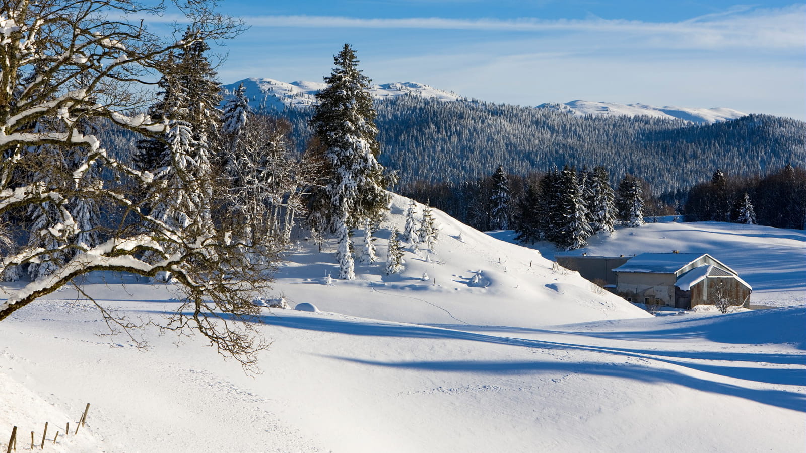 Hautes-Combes - Jura