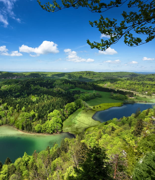 Belvédère des 4 lacs