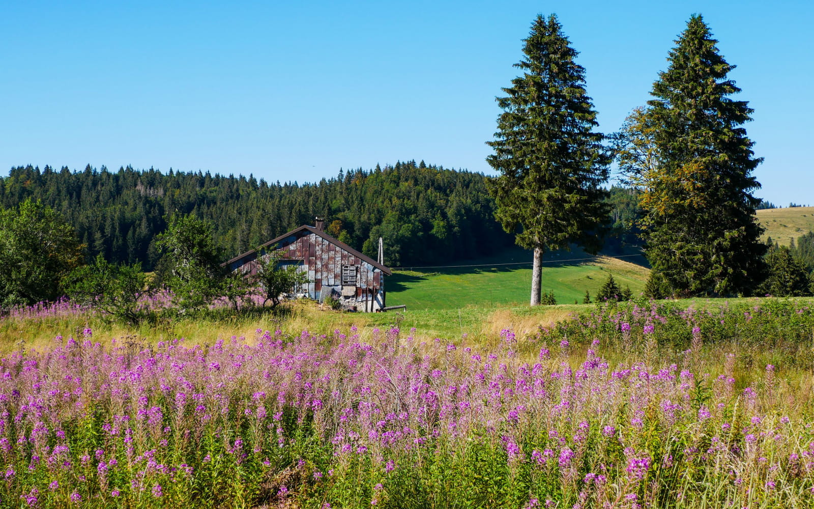 Les Hautes combes