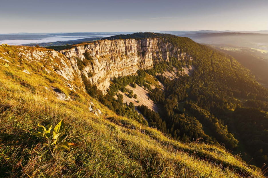 Vue depuis le Mont d'Or