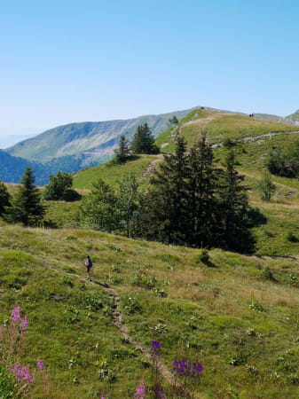 Randonnée petit et grand Morond sur les crètes du Jura