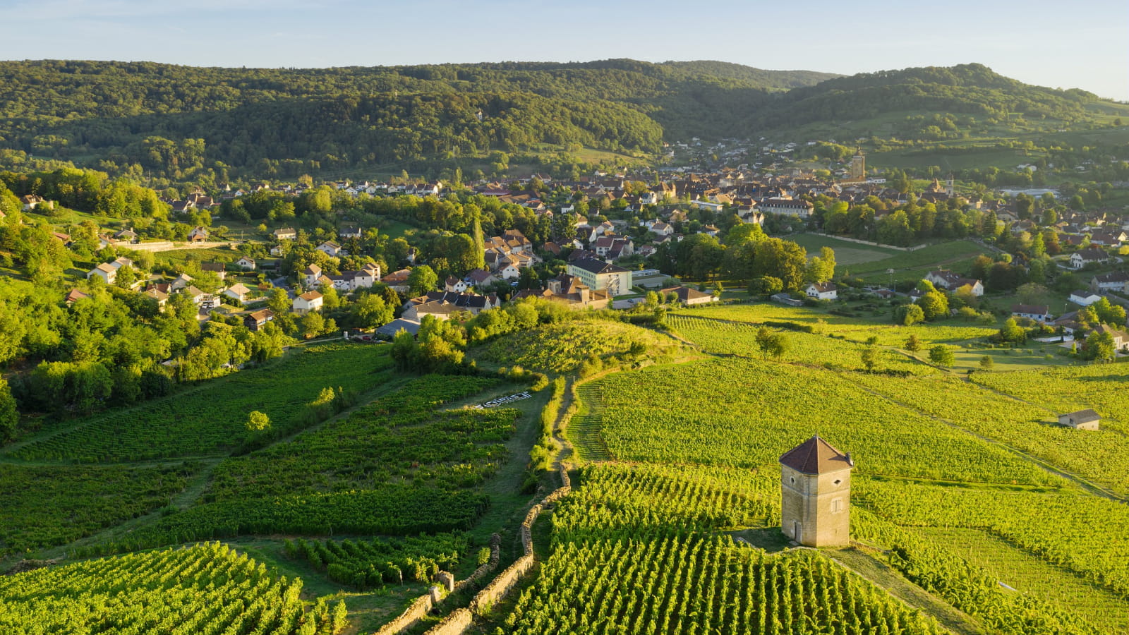 Village et vignes d'Arbois