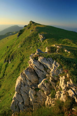 Le Grand Colombier