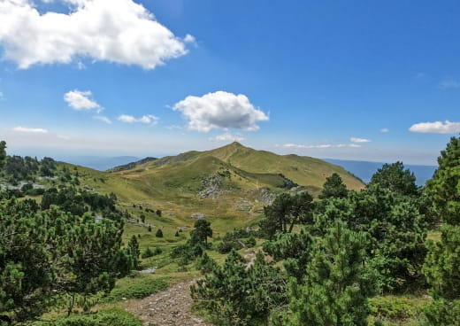 Vue sur le sommet du Reculet