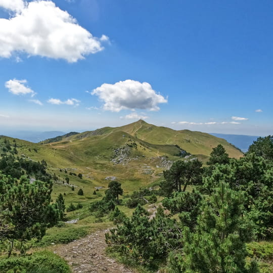 Vue sur le sommet du Reculet