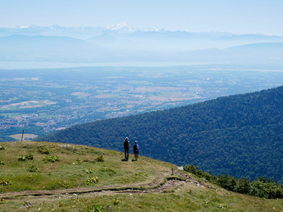 Vue sur le Pays de Gex, le Mont Blanc depuis le Petit Mont Rond